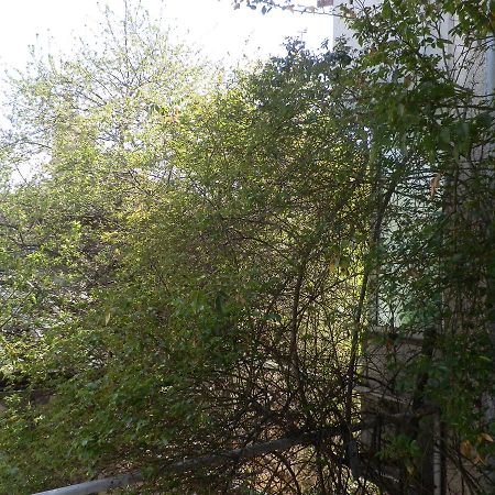 Silver House Varna Luaran gambar